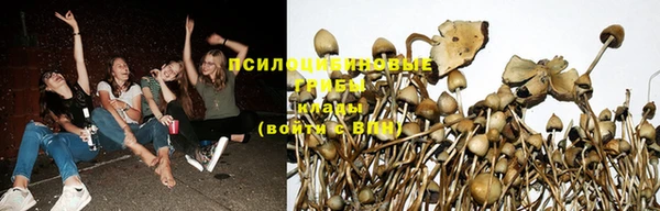 молекула духа Баксан