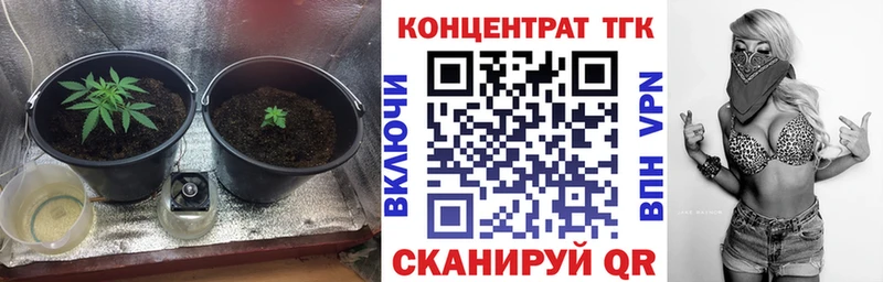 ТГК THC oil  купить наркотики цена  Сосновоборск 