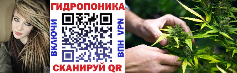 Канабис план Сосновоборск